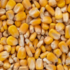granturco